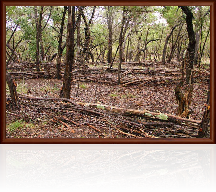Image land art in the austin texas hill country by austin artist dapacu